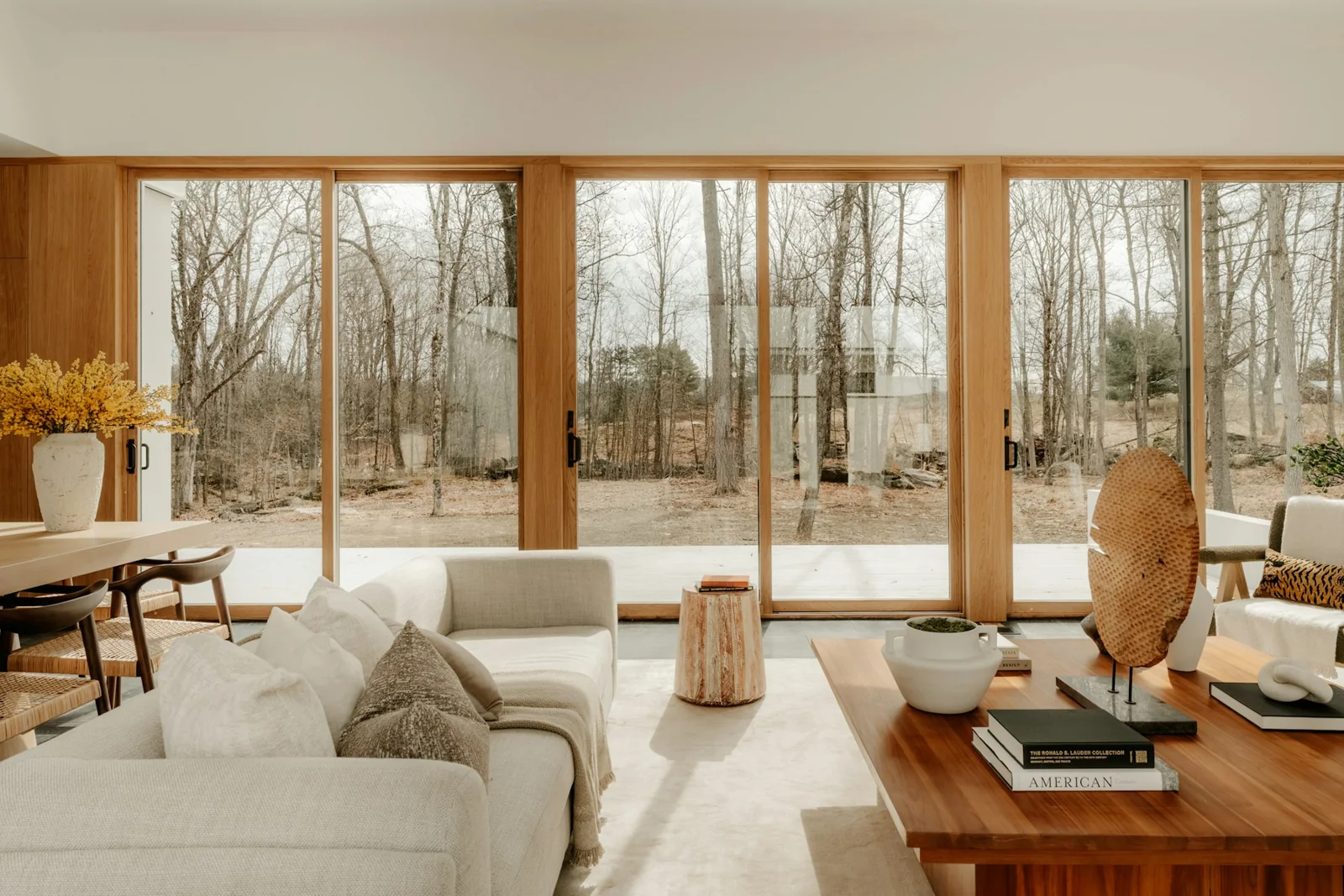 Sunlit living room with a wall of glass and timber frames overlooking woodland